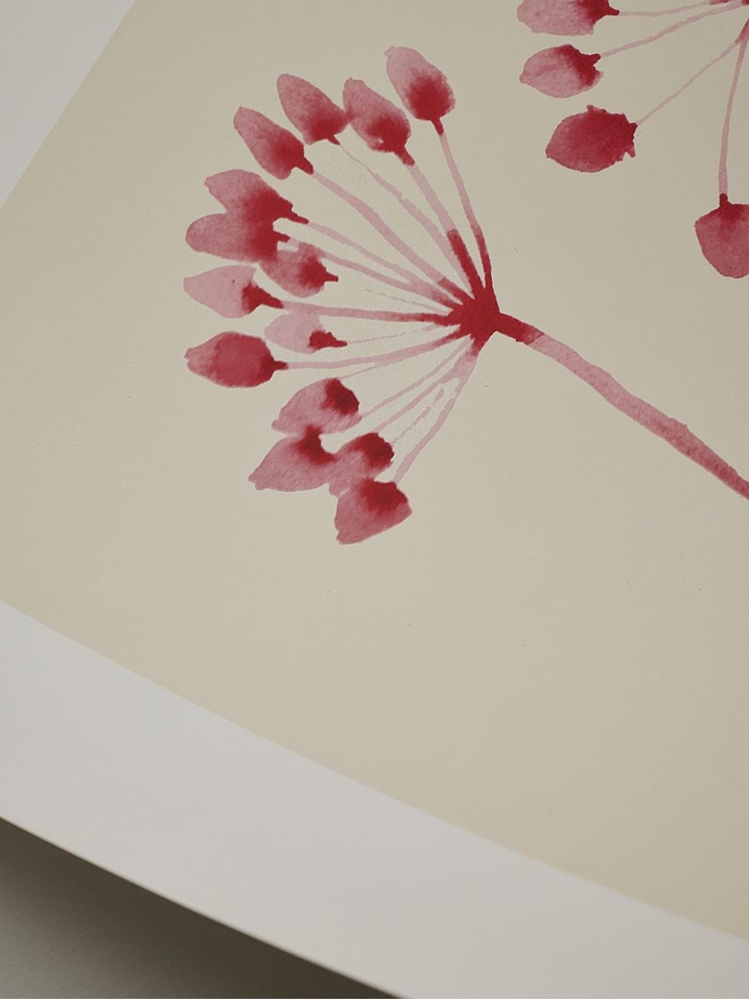Poster Flowers 02 by Ana Frois-3
