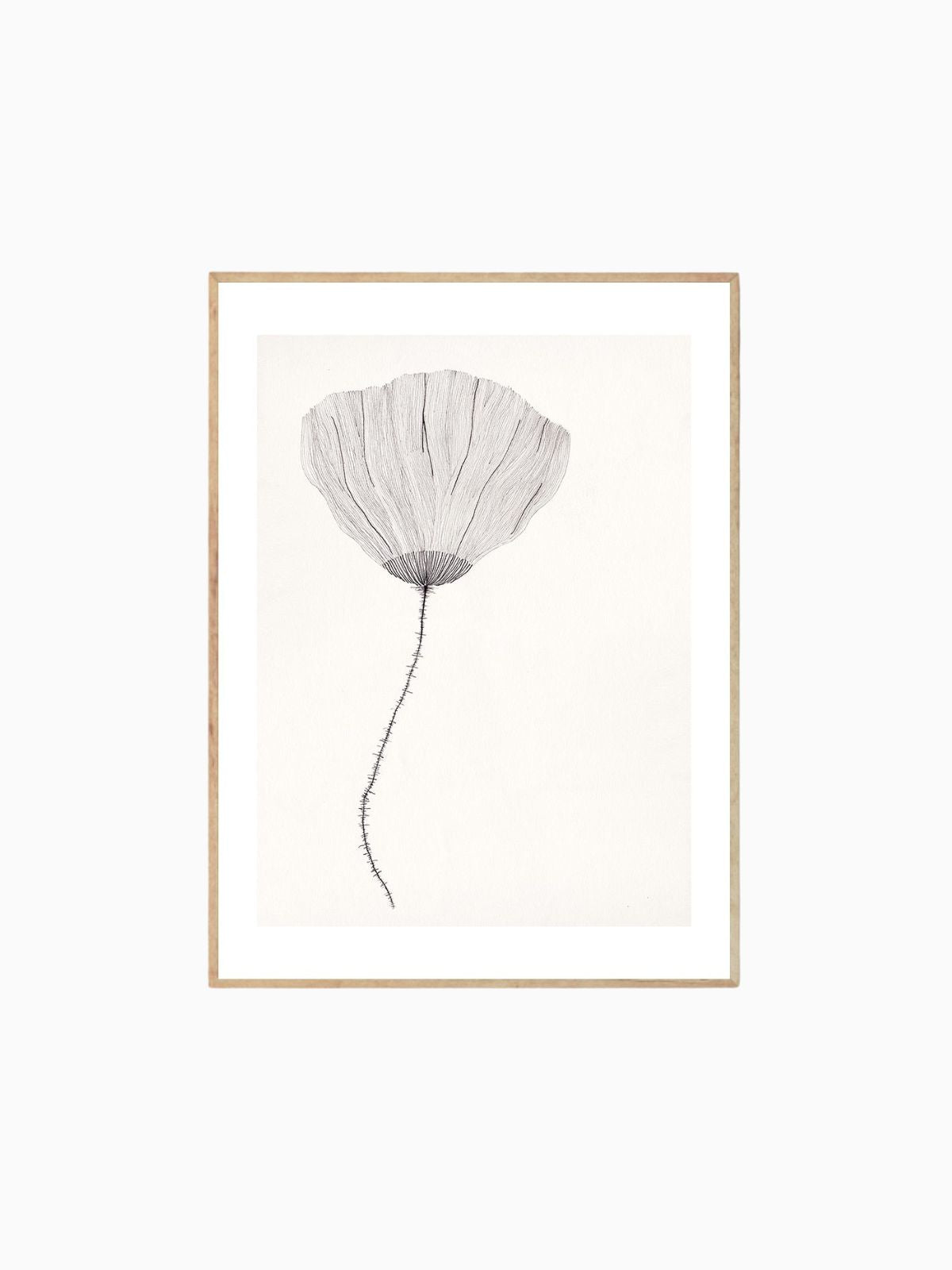 Poster Poppy by Ana Frois-1