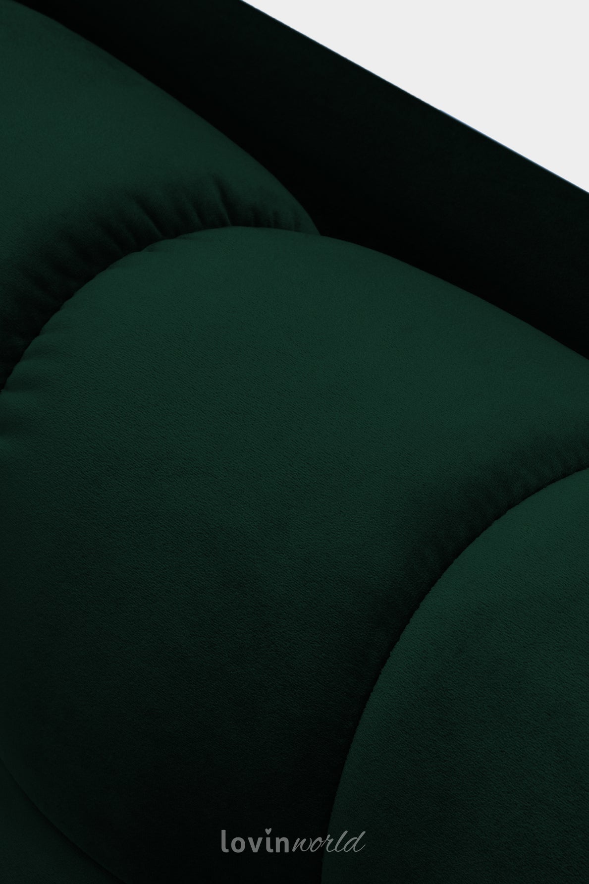 Divano Mamaia 2 posti, in velluto verde scuro con gambe dorate-LovinWorld